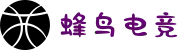 蜂鸟电竞(中国)官方网站-Fengniao Esports